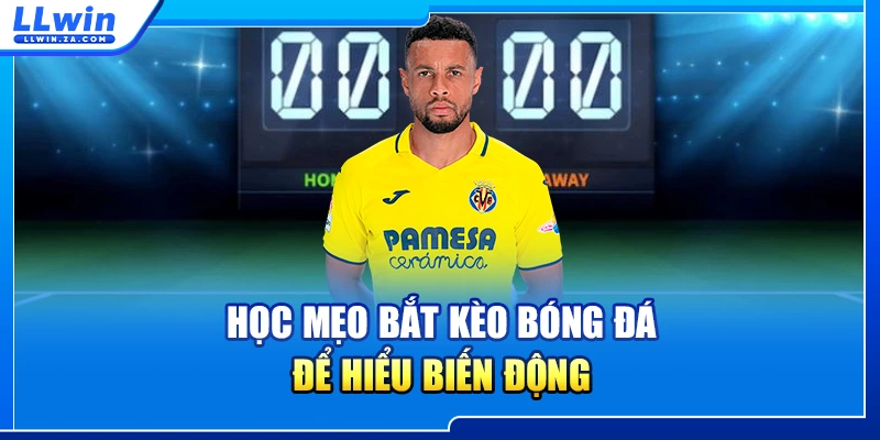 Học mẹo bắt kèo bóng đá để hiểu biến động